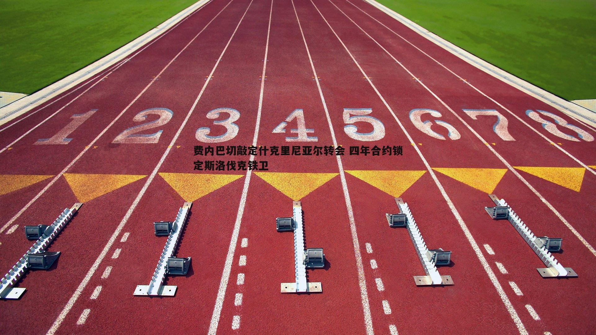 费内巴切敲定什克里尼亚尔转会 四年合约锁定斯洛伐克铁卫